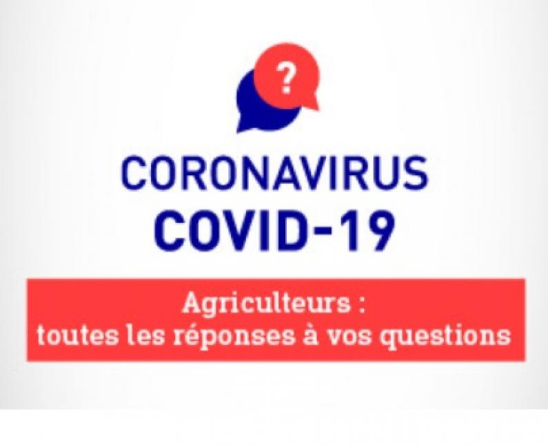 coronavirus reponses