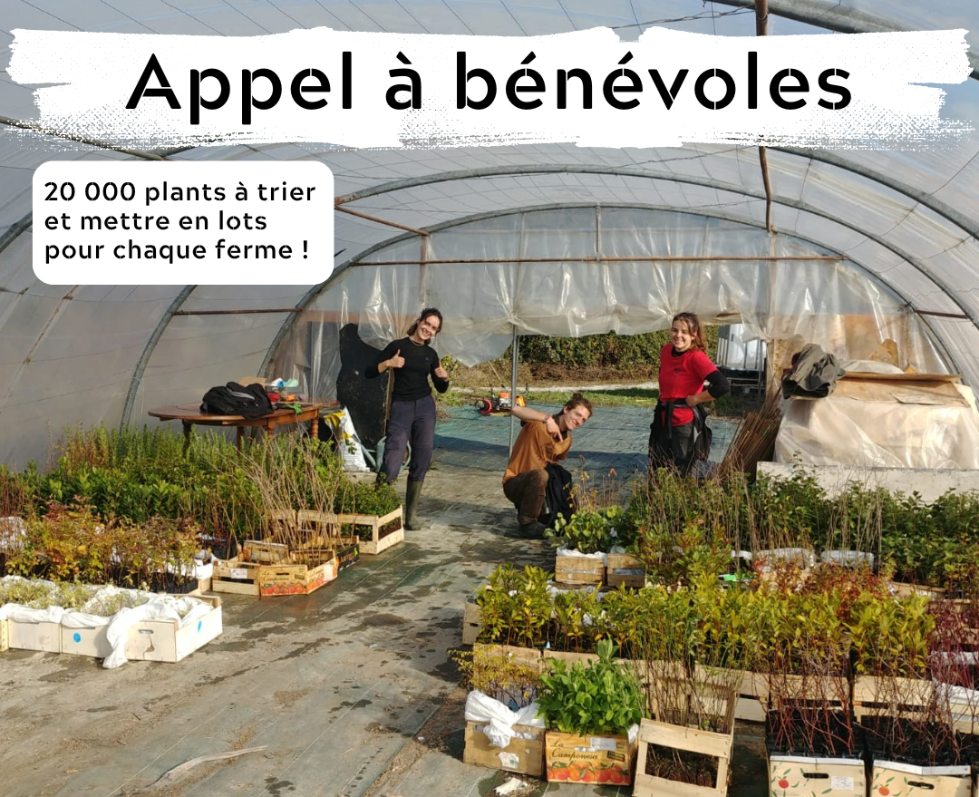 APPEL A VOLONTAIRES 2
