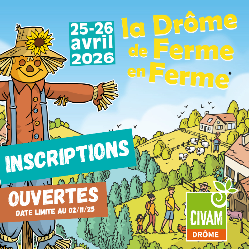 DFF26 Inscriptions