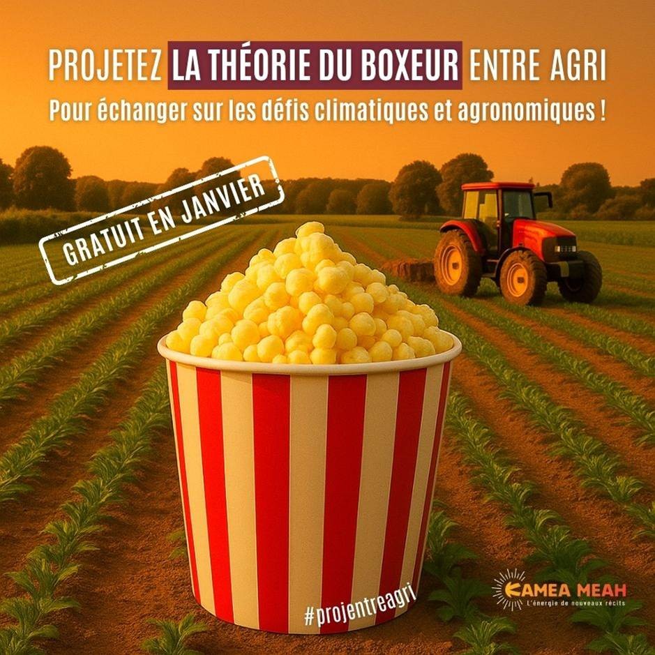 TDB Agris