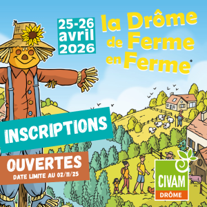 DFF26 Inscriptions