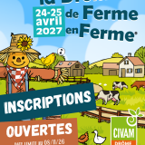 DFF27 Inscriptions