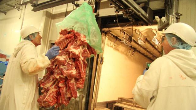 abattoir