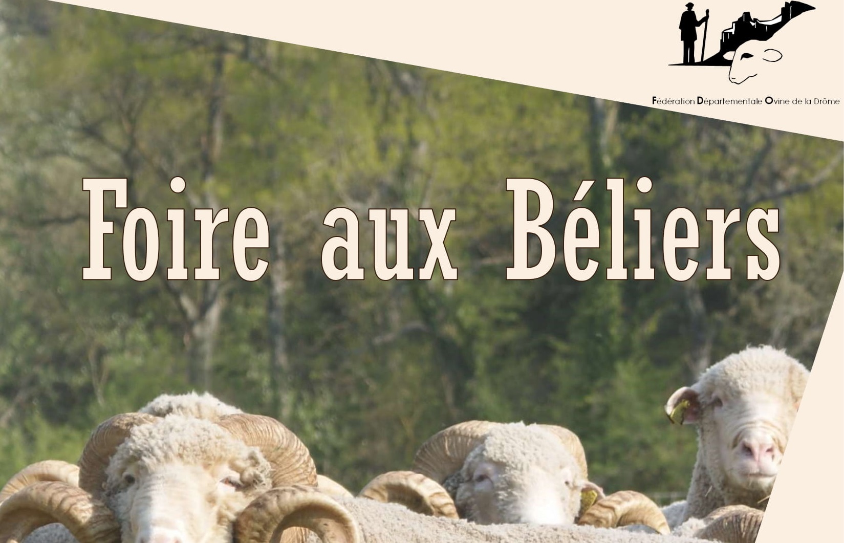 FDO foire coupee