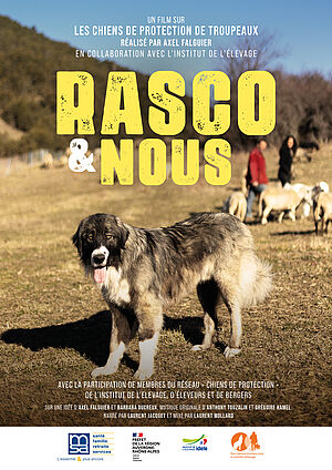 csm Film RASCO NOUS affiche 5905091656