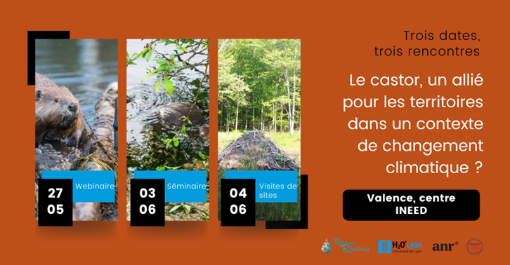 h2o seminaire castor2