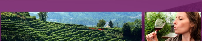 viticulture2