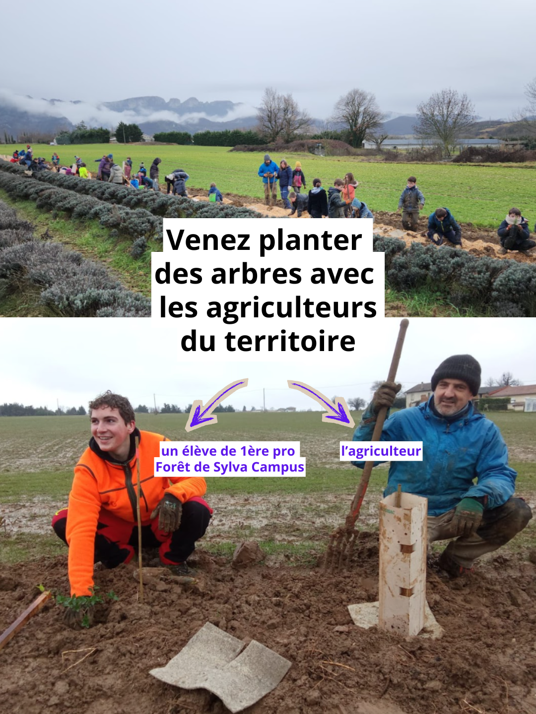 Image 1769965052
