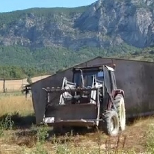 Poulailler Mobile Agriliens Linnovation Agricole Dans La Vallée