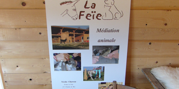 acceuil social